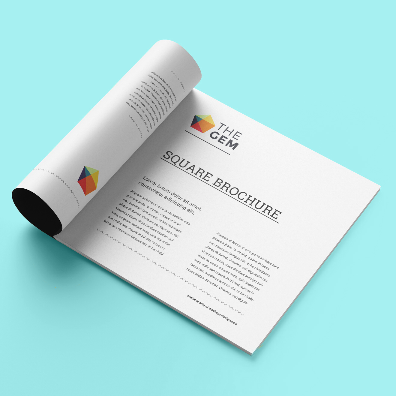 Demo Proje Başlığı 3